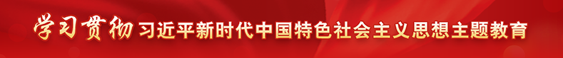 学习贯彻习近平新时代中国特色社会主义思想主题教育