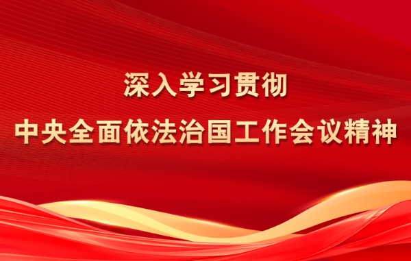 深入学习贯彻中央全面依法治国工作会议精神