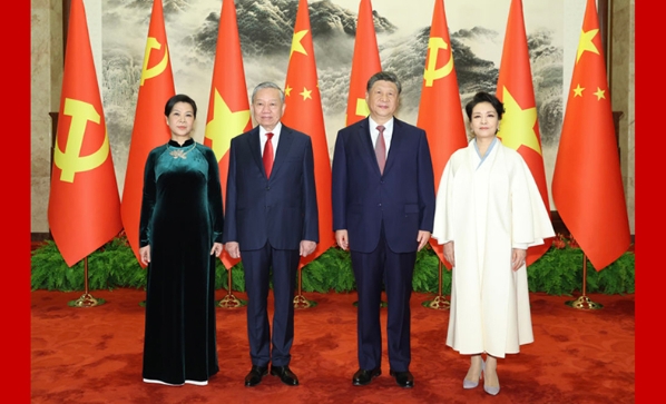 习近平同越共中央总书记、国家主席苏林举行会谈