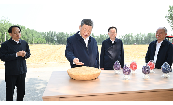 习近平在山东德州考察